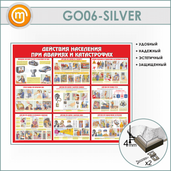 ����� ��������� ��������� ��� ������� � ������������ (GO-06-SILVER)