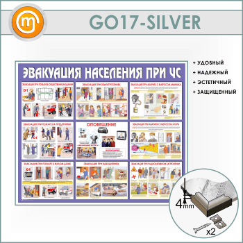 ����� ���������� ��������� ��� �ѻ (GO-17-SILVER)
