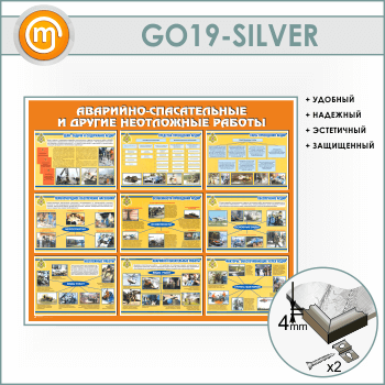 ����� ���������-������������ � ������ ���������� ������� (GO-19-SILVER)