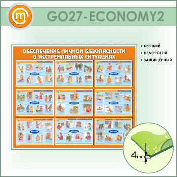 ����� ������������ ������ ������������ � ������������� ���������� (GO-27-ECONOMY2)