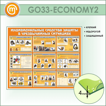 ����� ��������������� �������� ������ � ������������ ���������� (GO-33-ECONOMY2)